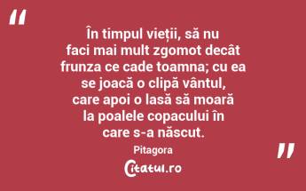 În timpul vieţii, să nu faci mai mult zgomot decât frunza ce cade toamna; cu ea se joacă o clipă vântul, care apoi o lasă să moară la poalele copacului în care s-a născut. Pitagora...