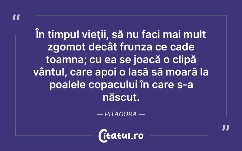 În timpul vieţii, să nu faci mai mult zgomot decât frunza ce cade toamna; cu ea se joacă o clipă vântul, care apoi o lasă să moară la poalele copacului în care s-a născut. Pitagora