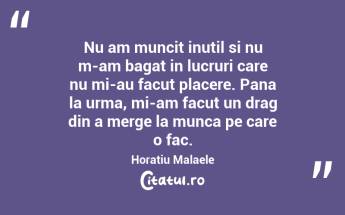 Nu am muncit inutil si nu m-am bagat in lucruri care nu mi-au facut placere. Pana la urma, mi-am facut un drag din a merge la munca pe care o fac.  Horatiu Malaele...