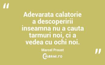 Adevarata calatorie a descoperirii inseamna nu a cauta tarmuri noi, ci a vedea cu ochi noi. Marcel Proust...