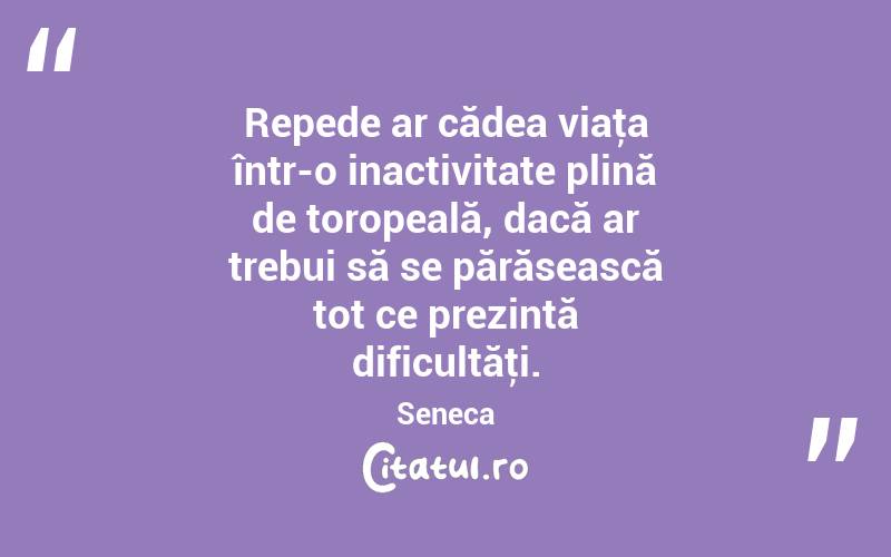 Repede ar cădea viaţa într-o inactivitate plină de toropeală, dacă ar trebui să se părăsească tot ce prezintă dificultăţi. Seneca
