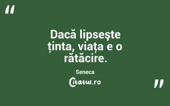 Dacă lipseşte ţinta, viaţa e o rătăcire. Seneca...