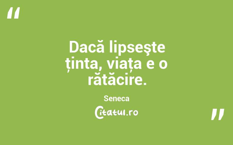 Dacă lipseşte ţinta, viaţa e o rătăcire. Seneca
