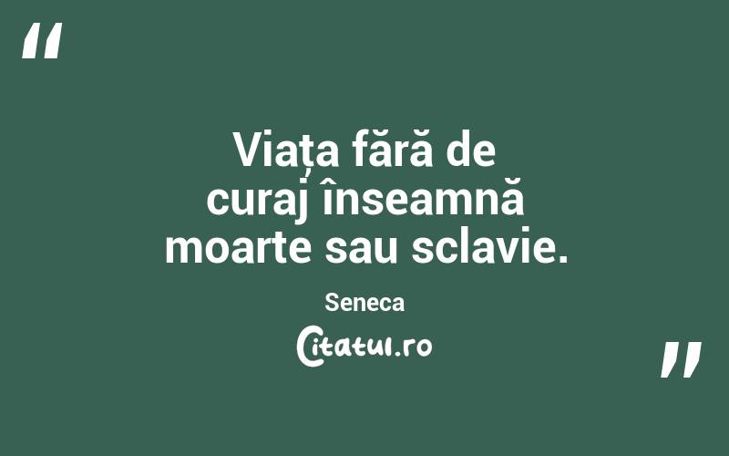 Viaţa fără de curaj înseamnă moarte sau sclavie. Seneca
