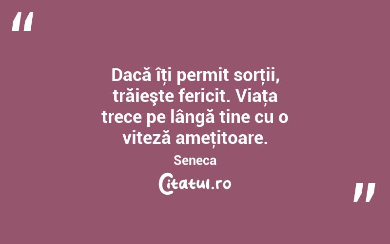 Dacă îţi permit sorţii, trăieşte fericit. Viaţa trece pe lângă tine cu o viteză ameţitoare. Seneca
