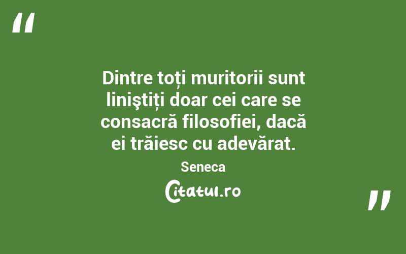 Dintre toţi muritorii sunt liniştiţi doar cei care se consacră filosofiei, dacă ei trăiesc cu adevărat. Seneca
