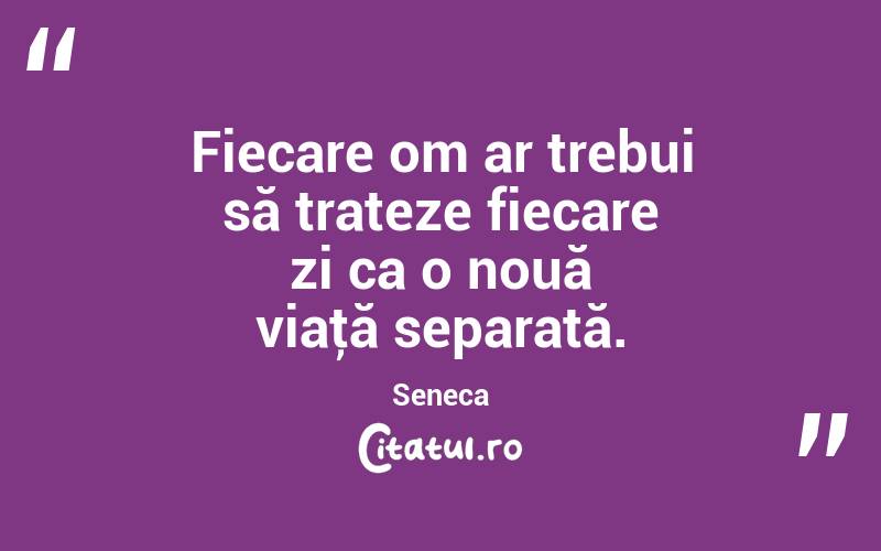 Fiecare om ar trebui să trateze fiecare zi ca o nouă viaţă separată. Seneca
