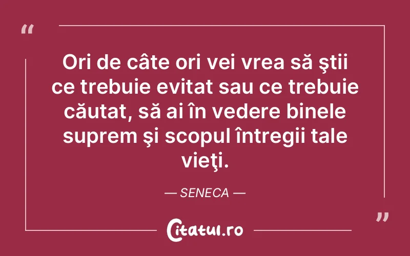 Ori de câte ori vei vrea să ştii ce trebuie evitat sau ce trebuie căutat, să ai în vedere binele suprem şi scopul întregii tale vieţi. Seneca