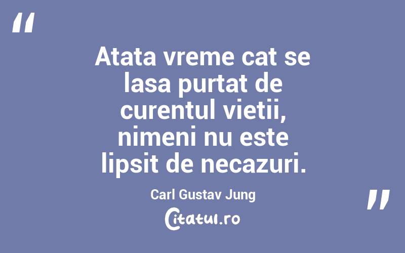 Atata vreme cat se lasa purtat de curentul vietii, nimeni nu este lipsit de necazuri. Carl Gustav Jung
