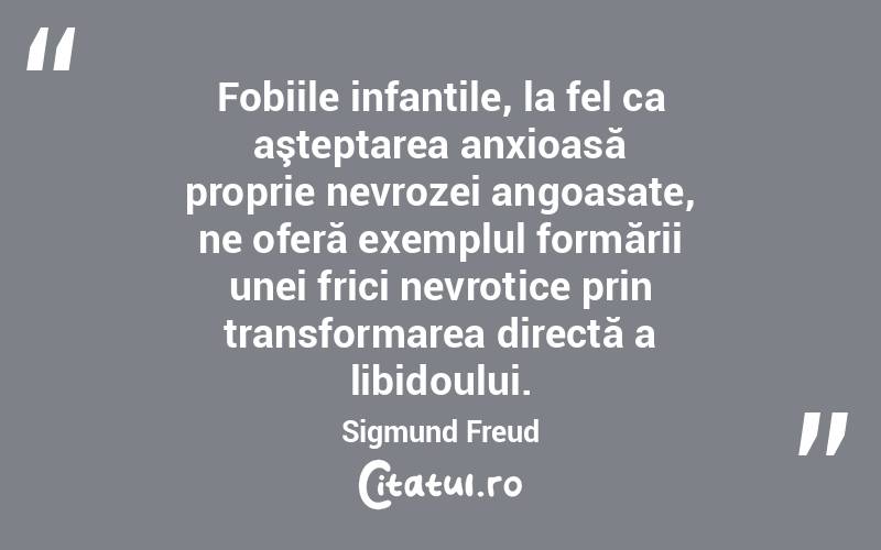 Fobiile infantile, la fel ca aşteptarea anxioasă proprie nevrozei angoasate, ne oferă exemplul formării unei frici nevrotice prin transformarea directă a libidoului. Sigmund Freud