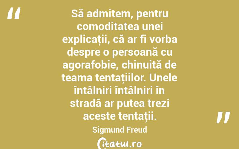 Să admitem, pentru comoditatea unei explicaţii, că ar fi vorba despre o persoană cu agorafobie, chinuită de teama tentaţiilor. Unele întâlniri întâlniri în stradă ar putea trezi aceste tentaţii. Sigmund Freud