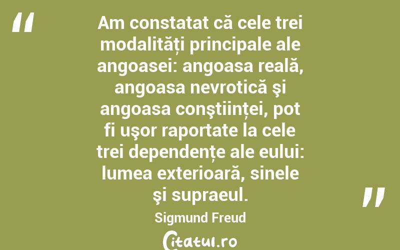 Am constatat că cele trei modalităţi principale ale angoasei: angoasa reală, angoasa nevrotică şi angoasa conştiinţei, pot fi uşor raportate la cele trei dependenţe ale eului: lumea exterioară, sinele şi supraeul. Sigmund Freud