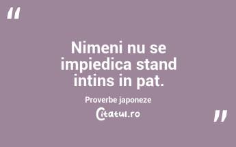 Nimeni nu se impiedica stand intins in pat.  Proverbe japoneze...