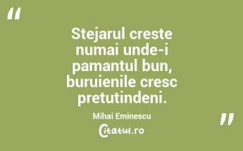 Stejarul creste numai unde-i pamantul bun, buruienile cresc pretutindeni. Mihai Eminescu...