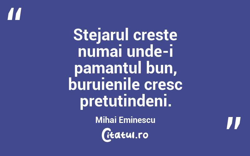 Stejarul creste numai unde-i pamantul bun, buruienile cresc pretutindeni. Mihai Eminescu
