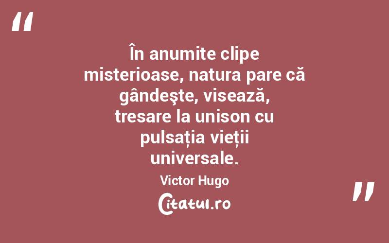 În anumite clipe misterioase, natura pare că gândeşte, visează, tresare la unison cu pulsaţia vieţii universale. Victor Hugo