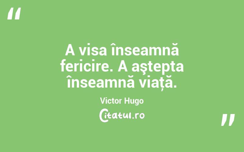 A visa înseamnă fericire. A aştepta înseamnă viaţă. Victor Hugo
