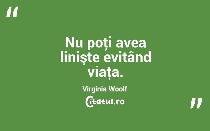 Nu poţi avea linişte evitând viaţa. Virginia Woolf
