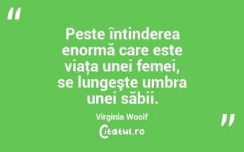 Peste întinderea enormă care este viaţa unei femei, se lungeşte umbra unei săbii. Virginia Woolf...
