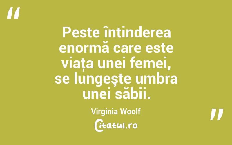 Peste întinderea enormă care este viaţa unei femei, se lungeşte umbra unei săbii. Virginia Woolf
