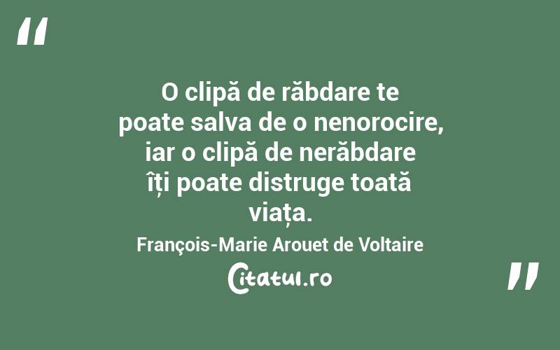 O clipă de răbdare te poate salva de o nenorocire, iar o clipă de nerăbdare îţi poate distruge toată viaţa. François-Marie Arouet de Voltaire
