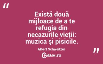 Există două mijloace de a te refugia din necazurile vieţii: muzica şi pisicile. Albert Schweitzer...
