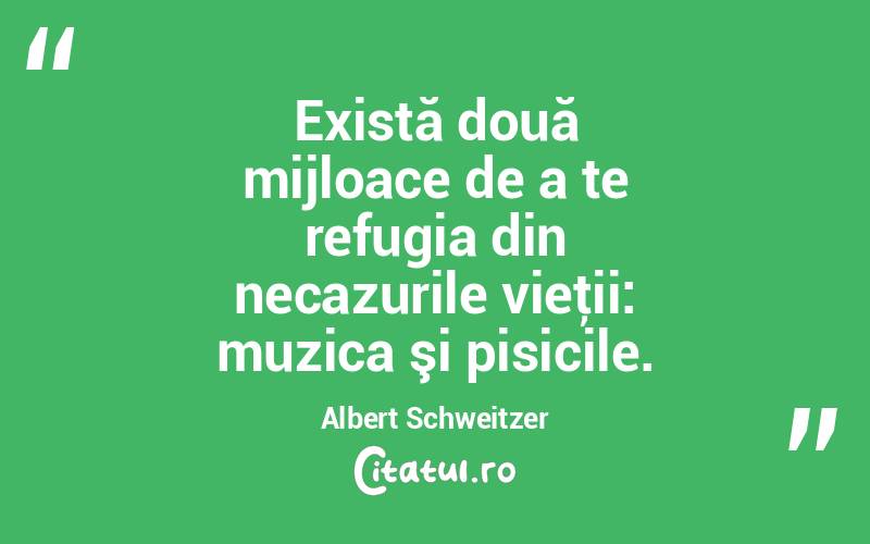 Există două mijloace de a te refugia din necazurile vieţii: muzica şi pisicile. Albert Schweitzer