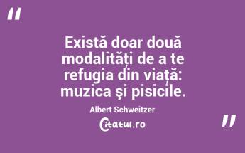 Există doar două modalităţi de a te refugia din viaţă: muzica şi pisicile. Albert Schweitzer...