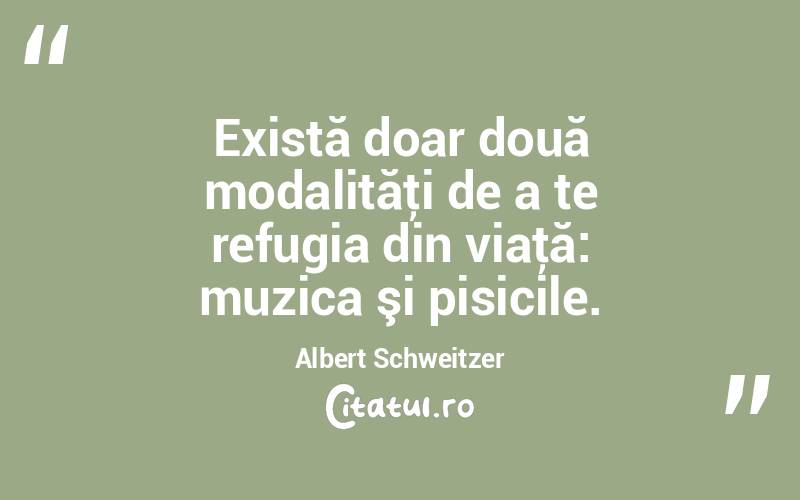 Există doar două modalităţi de a te refugia din viaţă: muzica şi pisicile. Albert Schweitzer