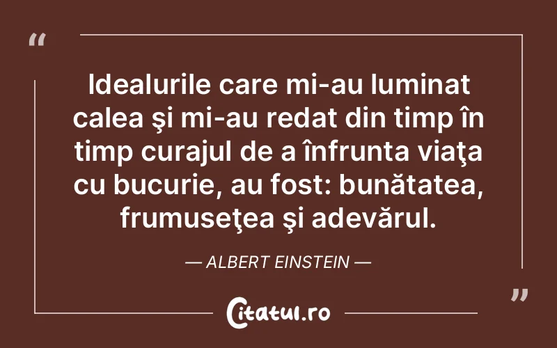 Citat Albert Einstein - citate viata
