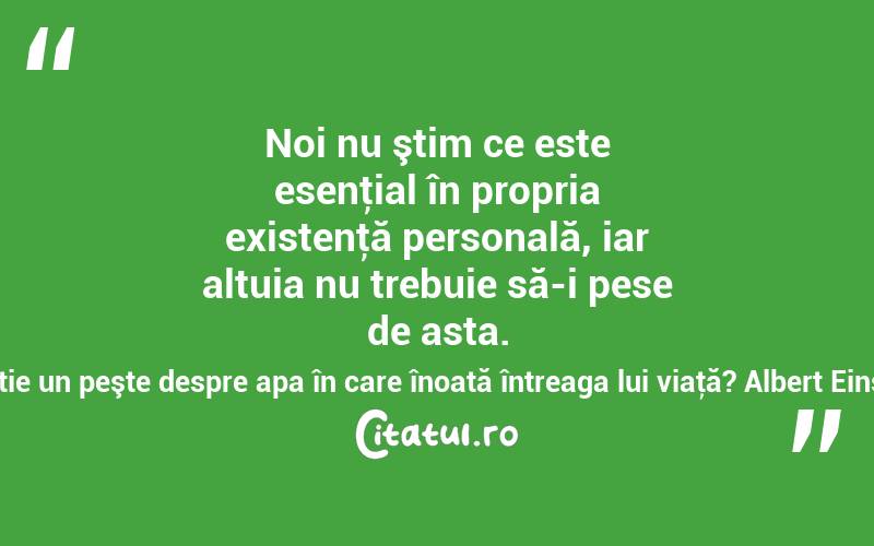 Noi nu ştim ce este esenţial în propria existenţă personală, iar altuia nu trebuie să-i pese de asta. Ce ştie un peşte despre apa în care înoată întreaga lui viaţă? Albert Einstein