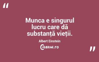Munca e singurul lucru care dă substanţă vieţii. Albert Einstein...