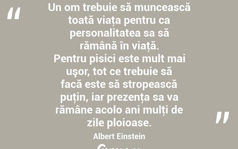 Un om trebuie să muncească toată viaţa pentru ca personalitatea sa să rămână în viaţă. Pentru pisici este mult mai uşor, tot ce trebuie să facă este să stropească puţin, iar prezenţa sa va rămâne acolo ani mulţi de zile ploioase. Albert Einstein