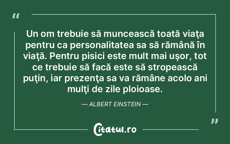 Un om trebuie să muncească toată viaţa pentru ca personalitatea sa să rămână în viaţă. Pentru pisici este mult mai uşor, tot ce trebuie să facă este să stropească puţin, iar prezenţa sa va rămâne acolo ani mulţi de zile ploioase. Albert Einstein