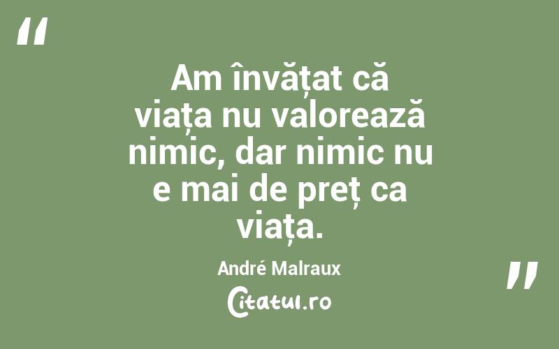 Am învăţat că viaţa nu valorează nimic, dar nimic nu e mai de preţ ca viaţa. André Malraux

