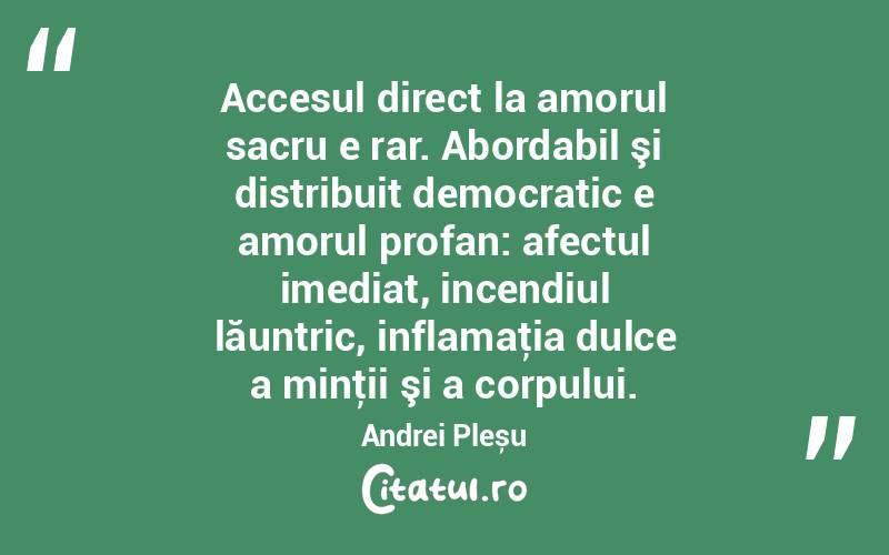 Accesul direct la amorul sacru e rar. Abordabil şi distribuit democratic e amorul profan: afectul imediat, incendiul lăuntric, inflamaţia dulce a minţii şi a corpului. Andrei Pleșu