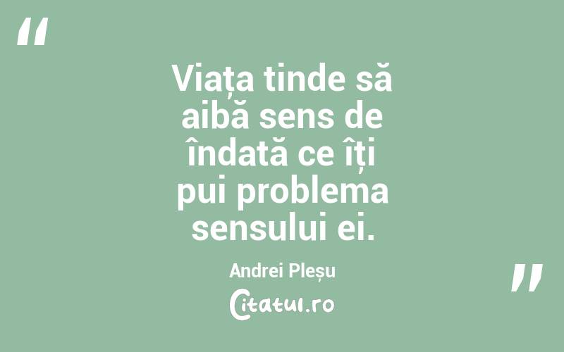 Viaţa tinde să aibă sens de îndată ce îţi pui problema sensului ei. Andrei Pleșu