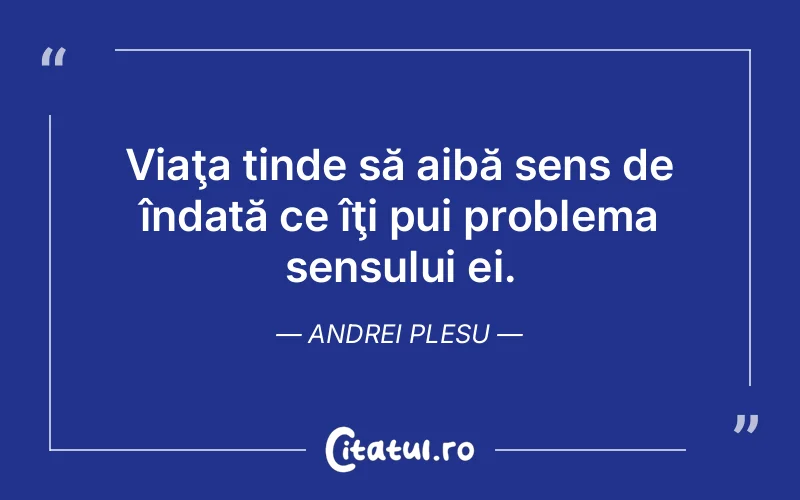 Viaţa tinde să aibă sens de îndată ce îţi pui problema sensului ei. Andrei Plesu