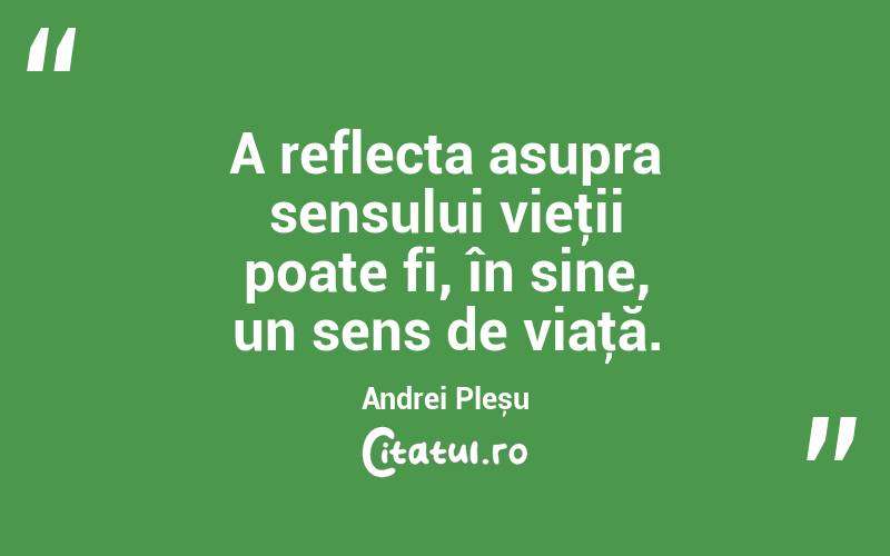 A reflecta asupra sensului vieţii poate fi, în sine, un sens de viaţă. Andrei Pleșu