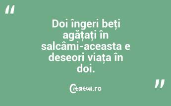 Doi îngeri beţi agăţaţi în salcâmi-aceasta e deseori viaţa în doi. ...