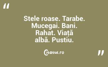 Stele roase. Tarabe. Mucegai. Bani. Rahat. Viaţă albă. Pustiu. ...