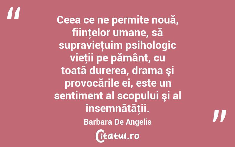 Ceea ce ne permite nouă, fiinţelor umane, să supravieţuim psihologic vieţii pe pământ, cu toată durerea, drama şi provocările ei, este un sentiment al scopului şi al însemnătăţii. Barbara De Angelis