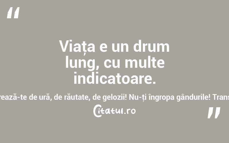 Viaţa e un drum lung, cu multe indicatoare. Aşa că, atunci când goneşti prin ea, nu-ţi complica mintea; eliberează-te de ură, de răutate, de gelozii! Nu-ţi îngropa gândurile! Transformă-ţi viziunea în realitate! Trezeşte-te şi trăieşte! Bob Marley