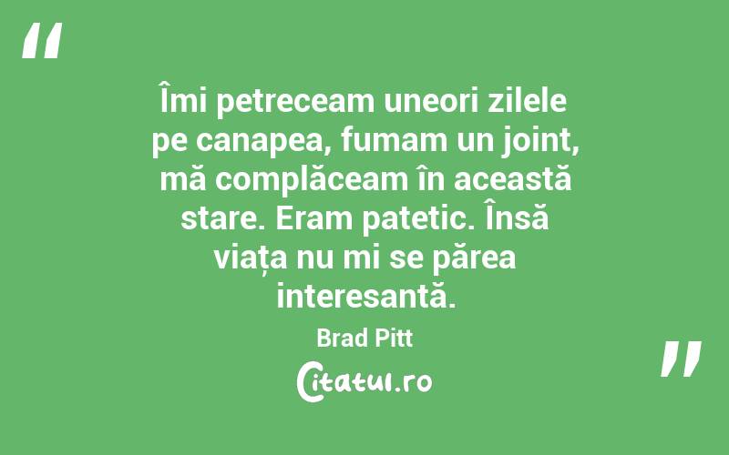 Îmi petreceam uneori zilele pe canapea, fumam un joint, mă complăceam în această stare. Eram patetic. Însă viaţa nu mi se părea interesantă. Brad Pitt
