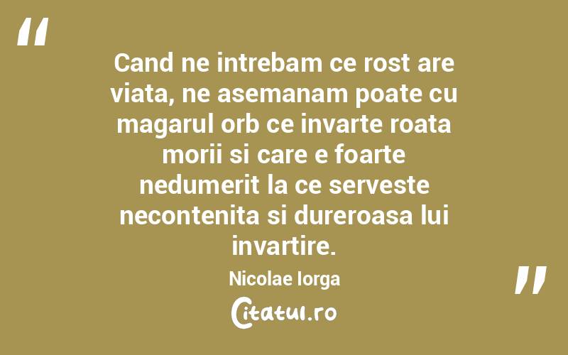 Cand ne intrebam ce rost are viata, ne asemanam poate cu magarul orb ce invarte roata morii si care e foarte nedumerit la ce serveste necontenita si dureroasa lui invartire.  Nicolae Iorga