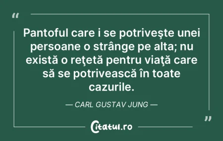 Pantoful care i se potriveşte unei pers...