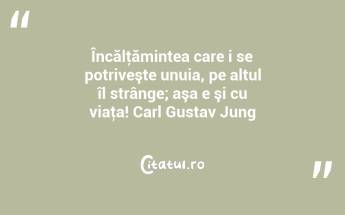 Încălţămintea care i se potriveşte unuia, pe altul îl strânge; aşa e şi cu viaţa! Carl Gustav Jung...
