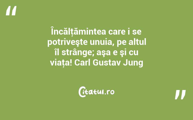 Încălţămintea care i se potriveşte unuia, pe altul îl strânge; aşa e şi cu viaţa! Carl Gustav Jung
