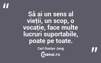 Să ai un sens al vieţii, un scop, o vocaţie, face multe lucruri suportabile, poate pe toate. Carl Gustav Jung...