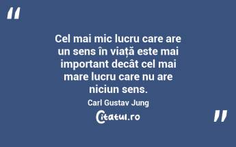 Cel mai mic lucru care are un sens în viaţă este mai important decât cel mai mare lucru care nu are niciun sens. Carl Gustav Jung...